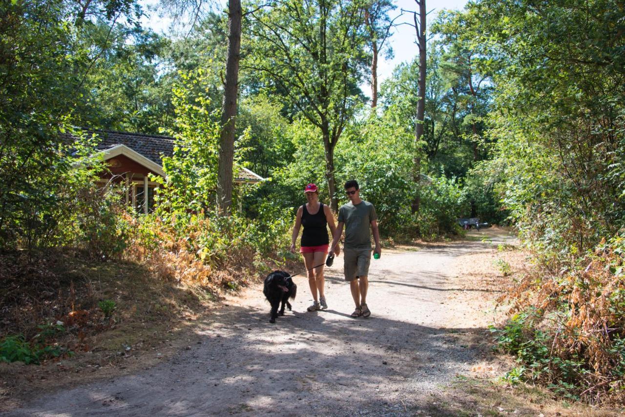 Europarcs De Wiltzangh 호텔 Ruinen 외부 사진