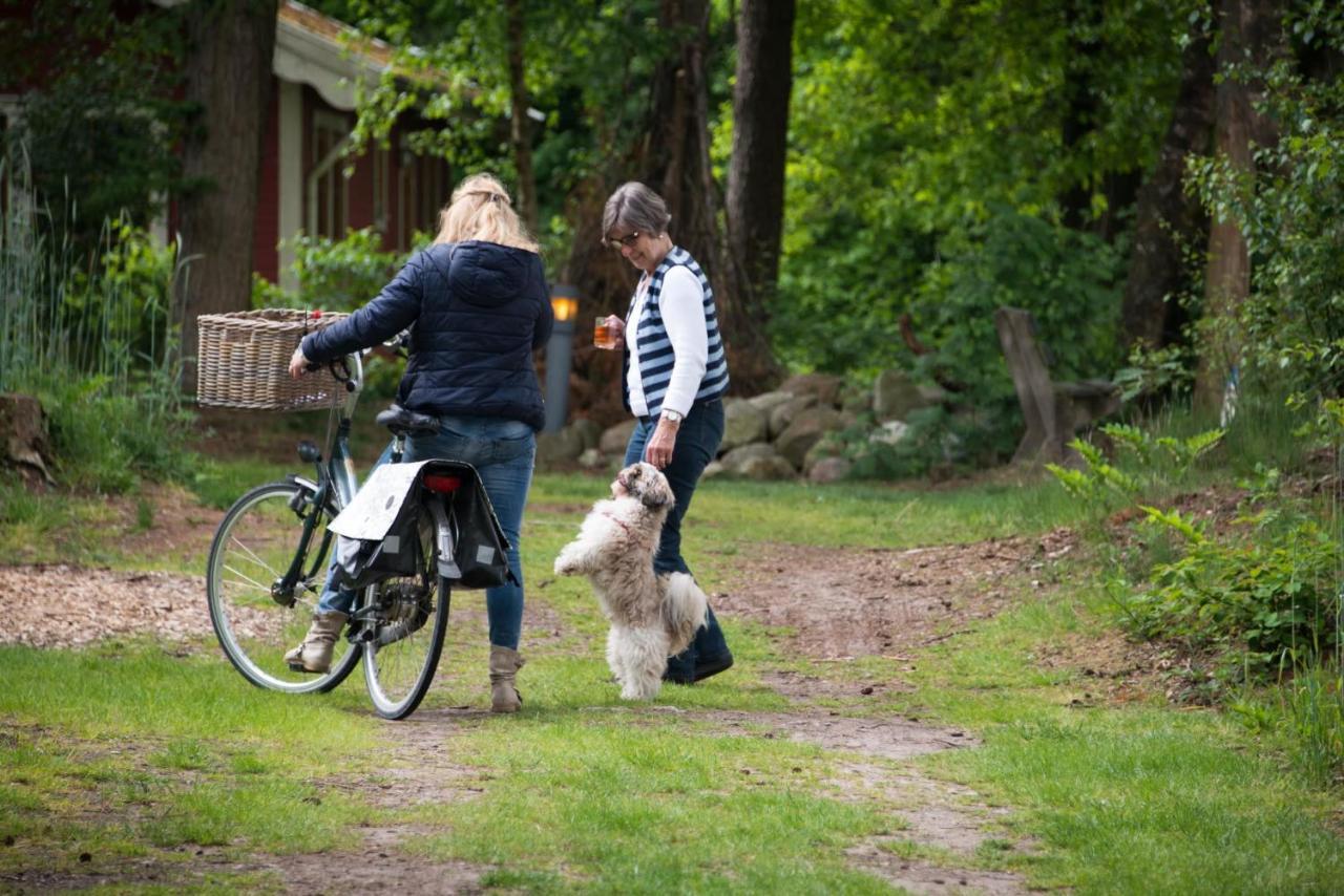 Europarcs De Wiltzangh 호텔 Ruinen 외부 사진
